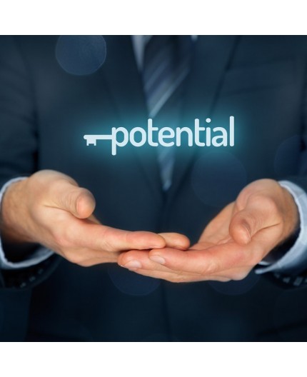 Mitarbeitende führen - Potenzial erkennen