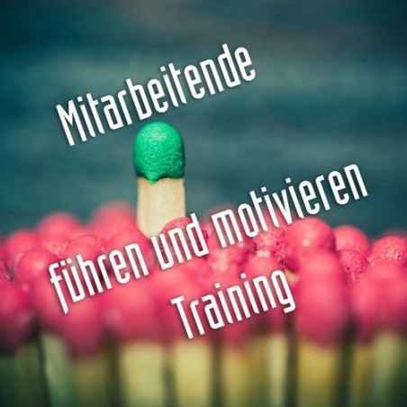 Fortsetzungstraining Mitarbeitende führen und motivieren