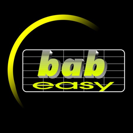 babe easy - betriebsabrechung einfach und verständlich - so einfach wie ein walkthrough