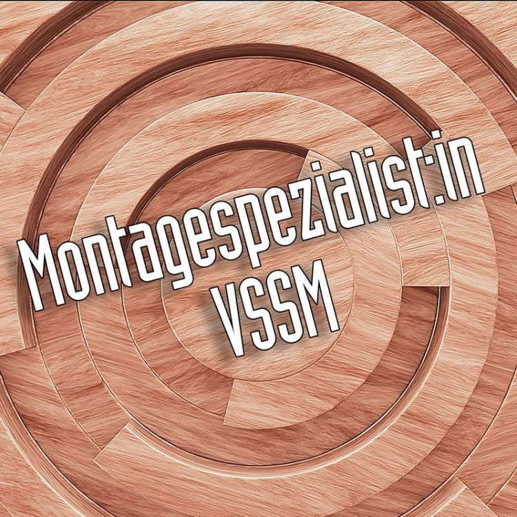Montage Spezialist:in VSSM HBB-S  Branchen-Fachschule Luzerner Schreiner