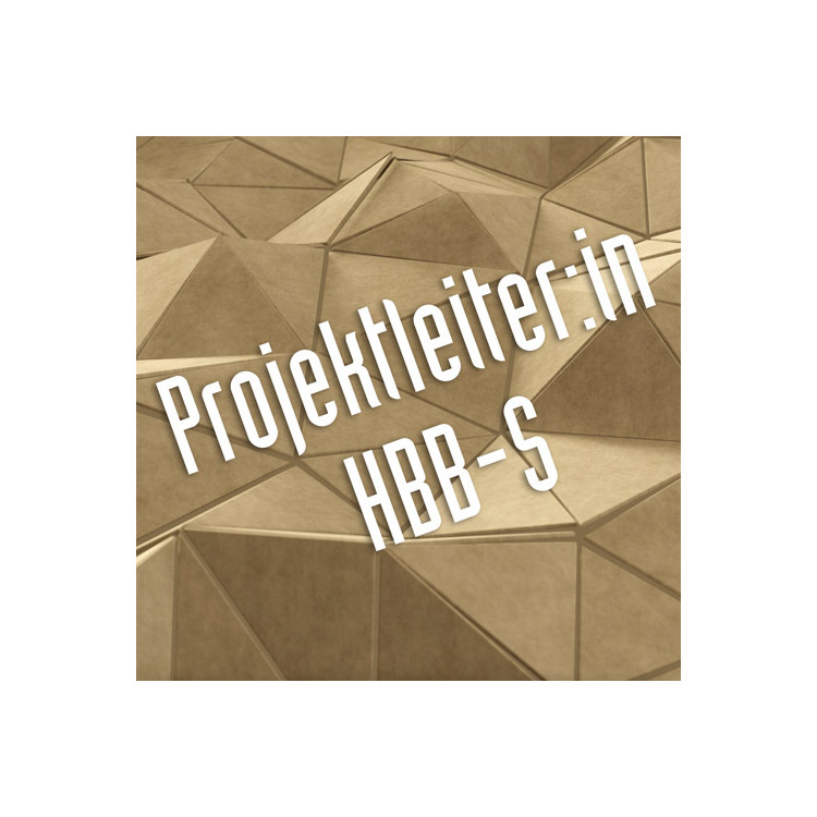 Projektleiter:in Schreinerei FA