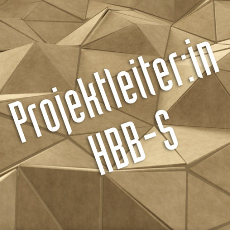 Projektleiter:in Schreinerei FA